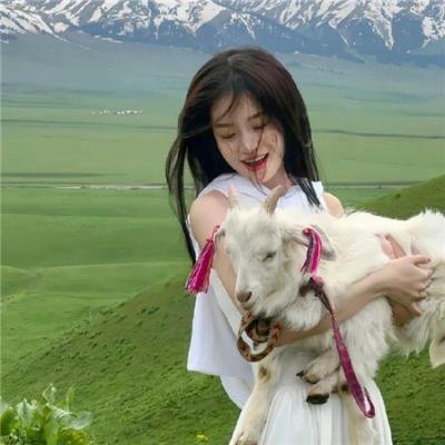 奇思妙探第二季